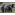 Неделя добрых дел