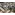 image_1