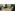 image_1