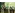 image_1