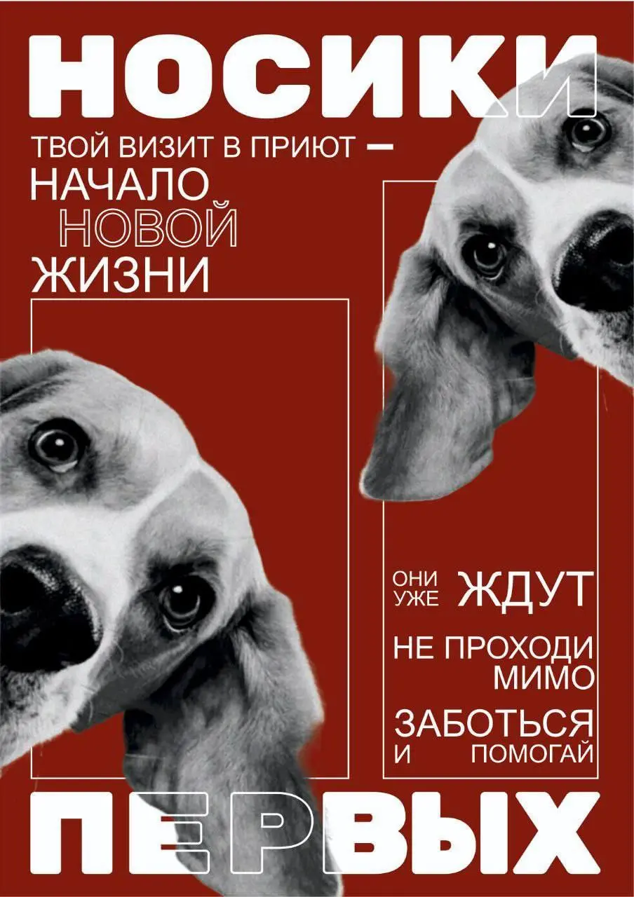 Акция «Носики первых»